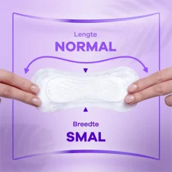 Always Daily Fresh Normal Fresh Scent Big Pack