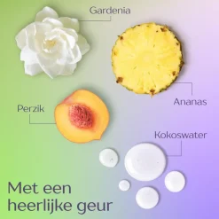 Andrélon Langer Fris shampoo 400 ML