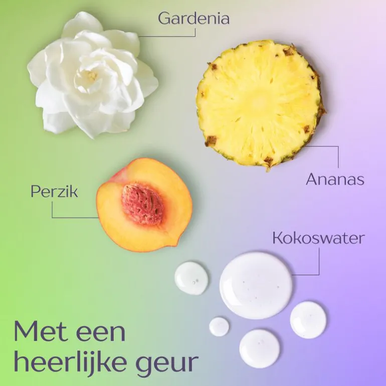 Andrélon Langer Fris shampoo 400 ML