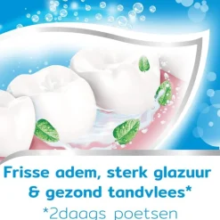 Aquafresh Freshmint Tandpasta Mini 15 ML