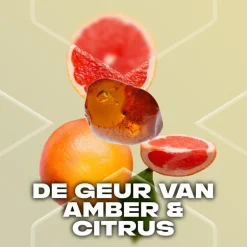 AXE Gold Temptation Deodorant Body Spray 150 ML