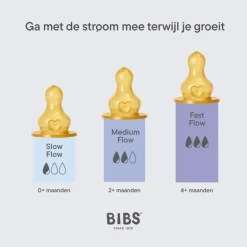 Bibs Bottle Nipple Flesspeen Medium Flow 2 pack