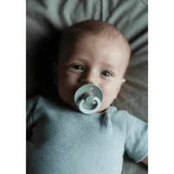 BIBS Glow in the dark Fopspeen Two Pack Natuurlijk Rubber Vanilla/Dark Oak Maat 2