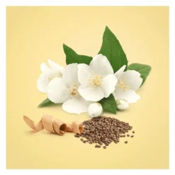 Calvin Klein Beauty eau de parfum 50 ML