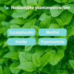 Dampo 2-in-1 Inhaler 2 ML