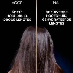 Garnier Loving Blends Charcoal Conditioner 250 ML