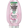 Garnier Loving Blends Rice Water Infusion & Zetmeel Conditioner 250 ML
