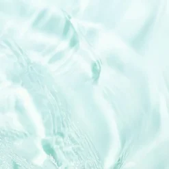 Garnier Micellair PureActive Salicylic Reinigingswater 400 ML