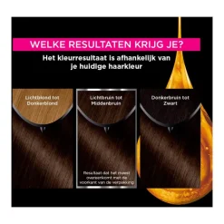 Garnier Olia Permanente Haarverf 4.0 Bruin