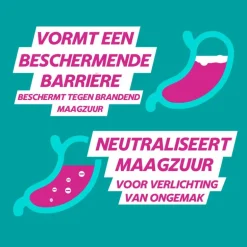 Gaviscon DUO Sachet Maagzuurremmers 12 Stuks