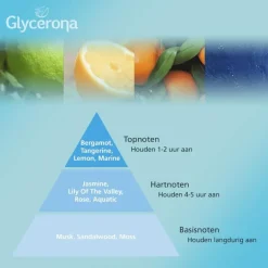 Glycerona Hygiënische Aloë Vera Handgel 100 ML