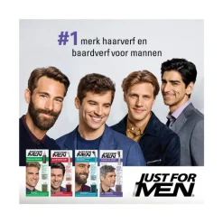 Just For Men Touch of Grey T35