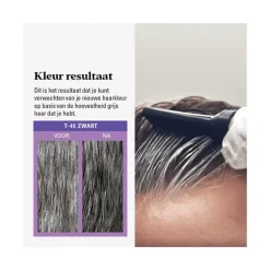 Just For Men Touch of Grey T45