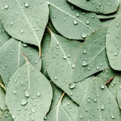 Kneipp Refreshing Badkristallen 600 GR