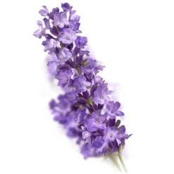 Kneipp Relaxing Douchefoam 200 ML