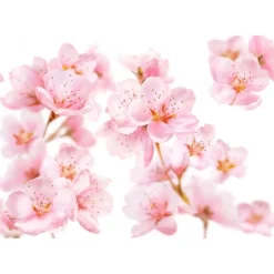 Kneipp Soft Skin Badolie 100 ML