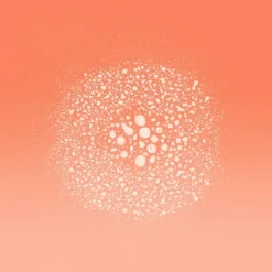 L'Oréal Paris Elvive Dream Lengths Droogshampoo 200 ML