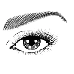 L'Oréal Paris Volume Million Lashes Mascara Classic Zwart Waterproof