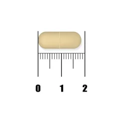 New Nordic Active Liver Tabletten