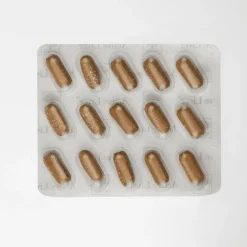 New Nordic Active Liver Tabletten