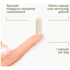 Nupure probaflor - Probiotica complex, hooggedoseerd met inulin, 30 capsules