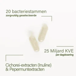 Nupure probaflor plus - Probiotica complex met pepermunt en chicorei, 60 capsules