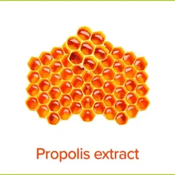 Palmolive Hygiëne Plus Family Antibacteriële Vloeibare Handzeep 300 ML