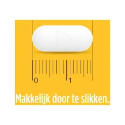 Panadol Zapp Tablet 500mg Paracetamol