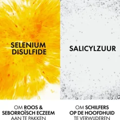 Vichy Dercos Anti-Roos DS Shampoo NH/VH Navulling 390 ML