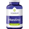 Vitakruid, Intestina