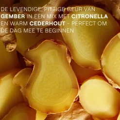 Weleda Aroma Energy Shower 200 ML