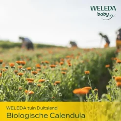 Weleda Baby Calendula Weer & Wind Balsem
