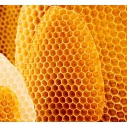 Weleda Cold Cream 30 ML